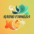 Radio Famosa 105.5 FM Tacaná - En Línea