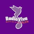 Escuchar en vivo Radio Radio Viva 95.3 de Ciudad Capital
